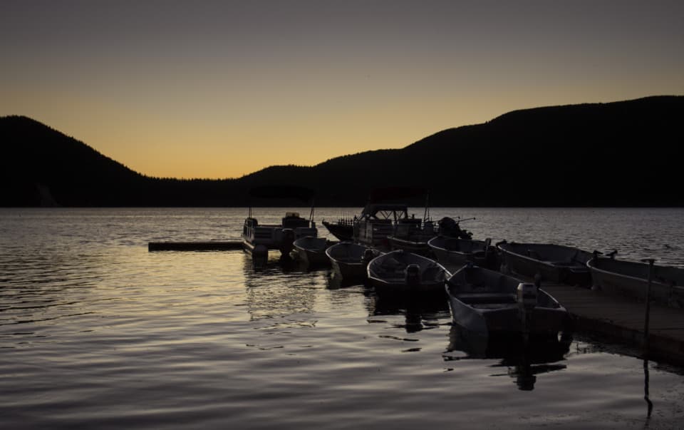 Boats in at dusk