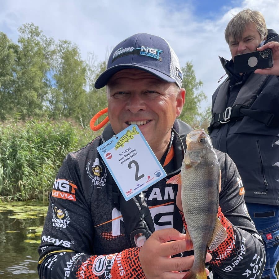 With a perch on competition day